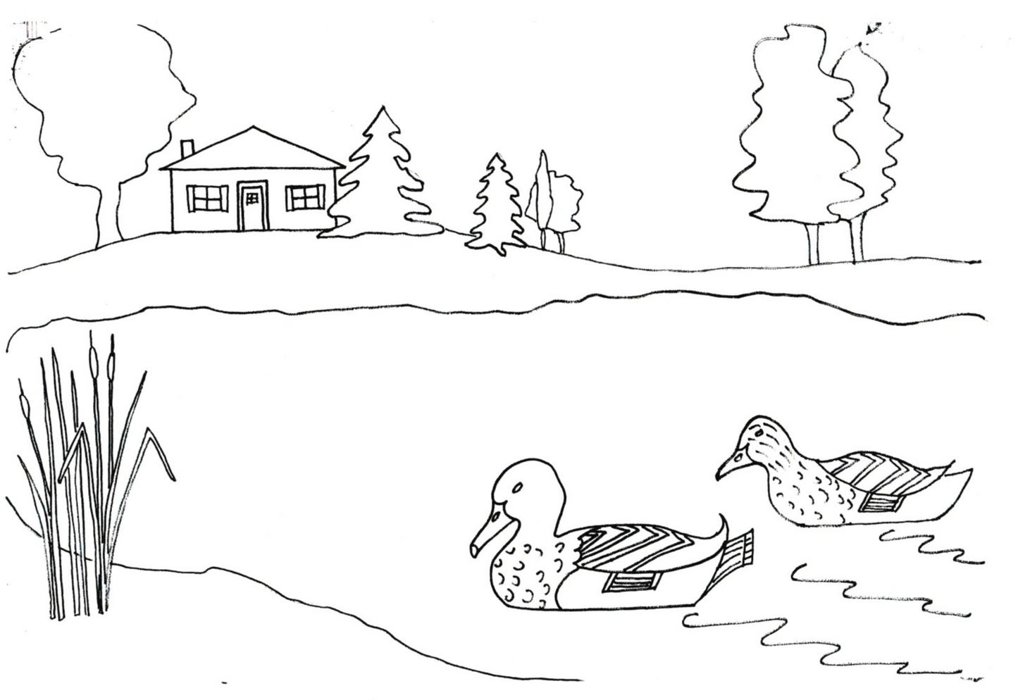 Mallard Pond