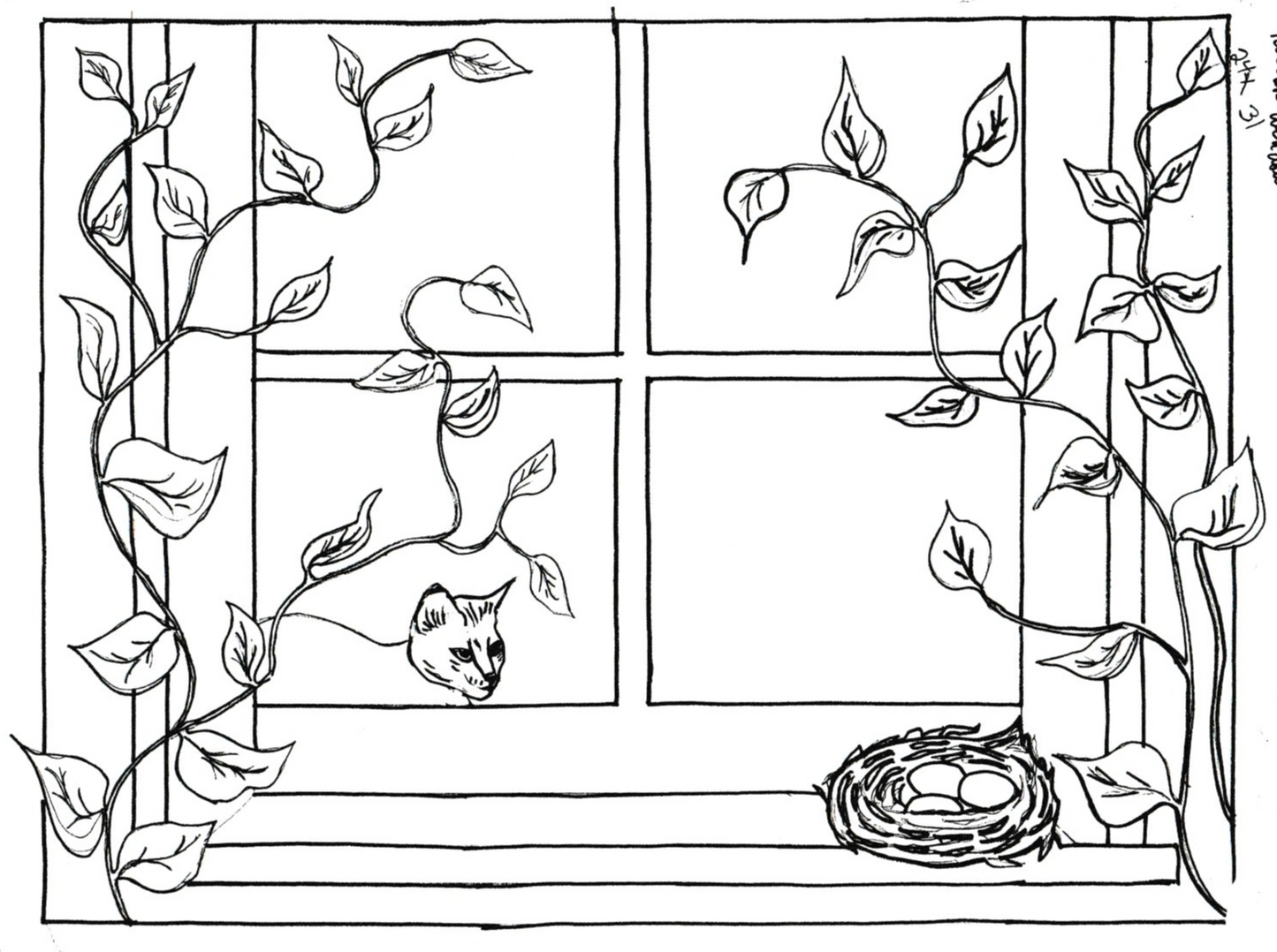 Nest on the Window