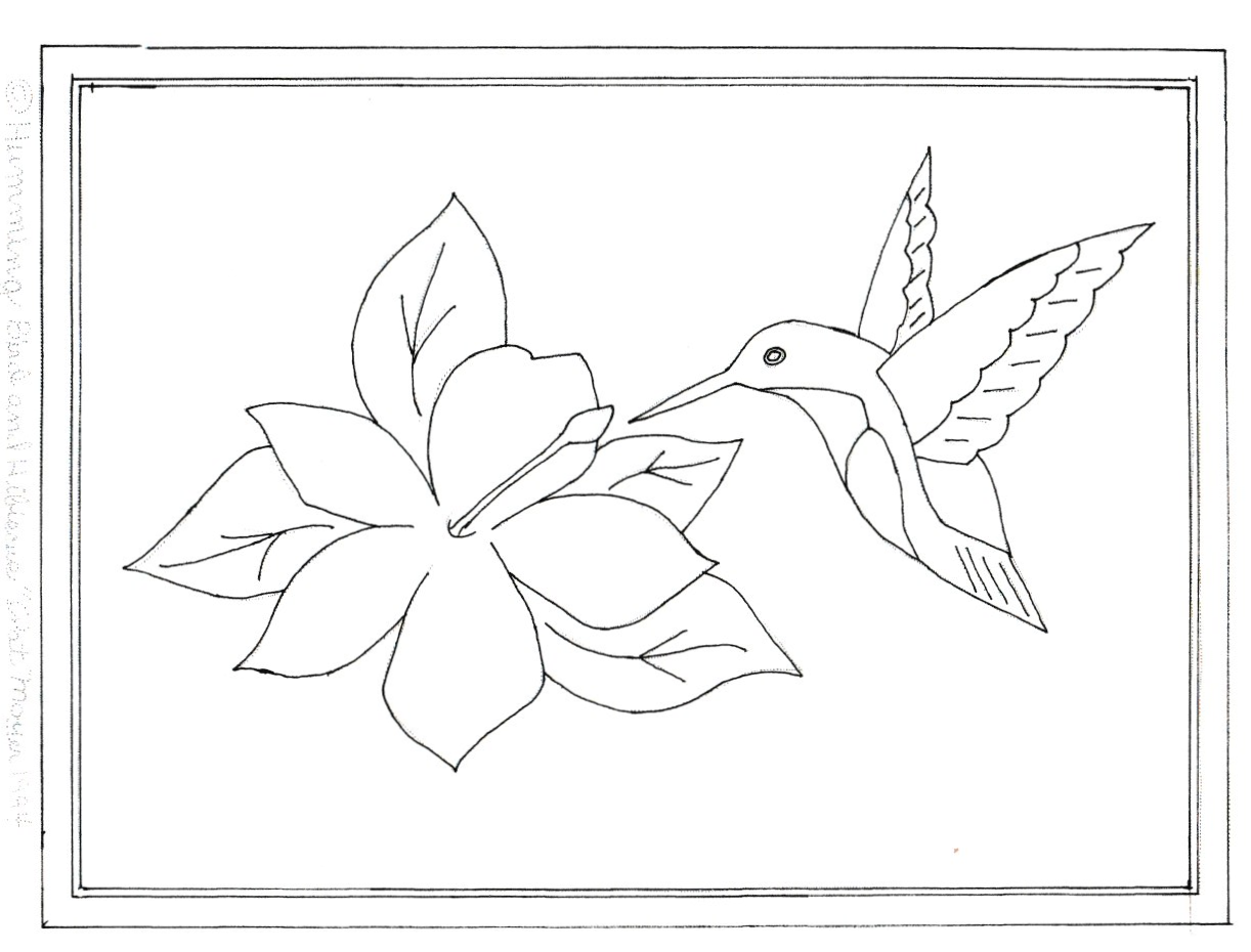 Hummingbird and Hibiscus