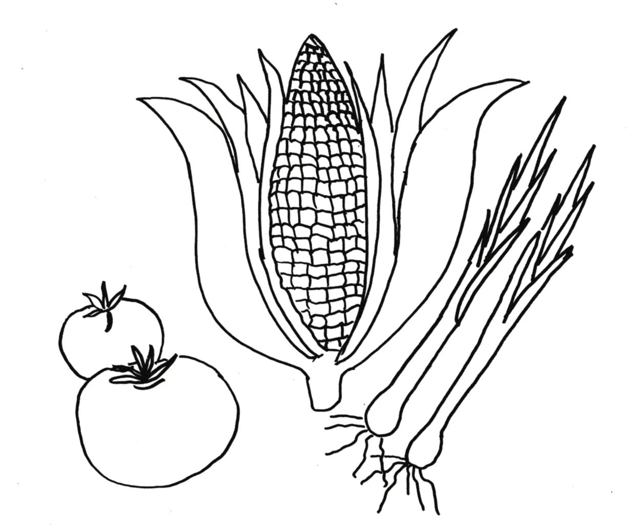 Corn