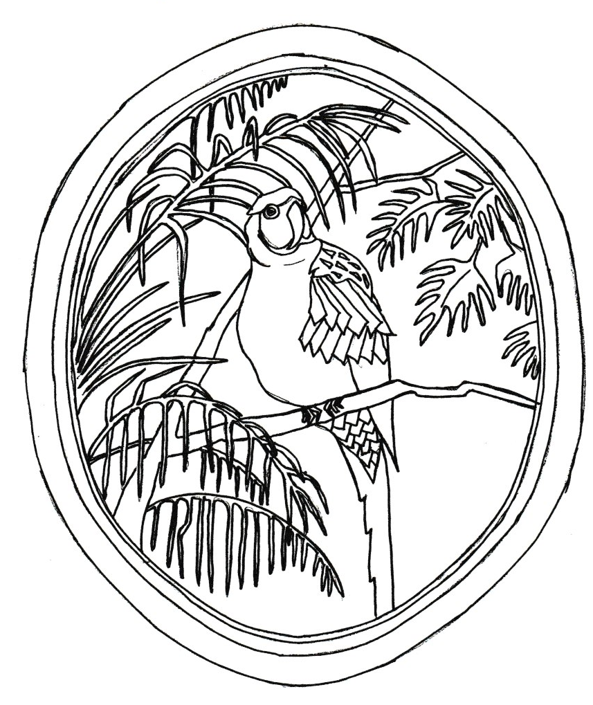 Jungle Parrot