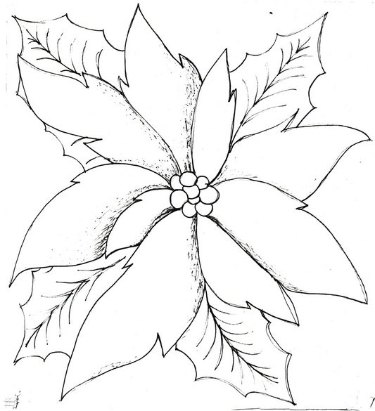 Poinsettia