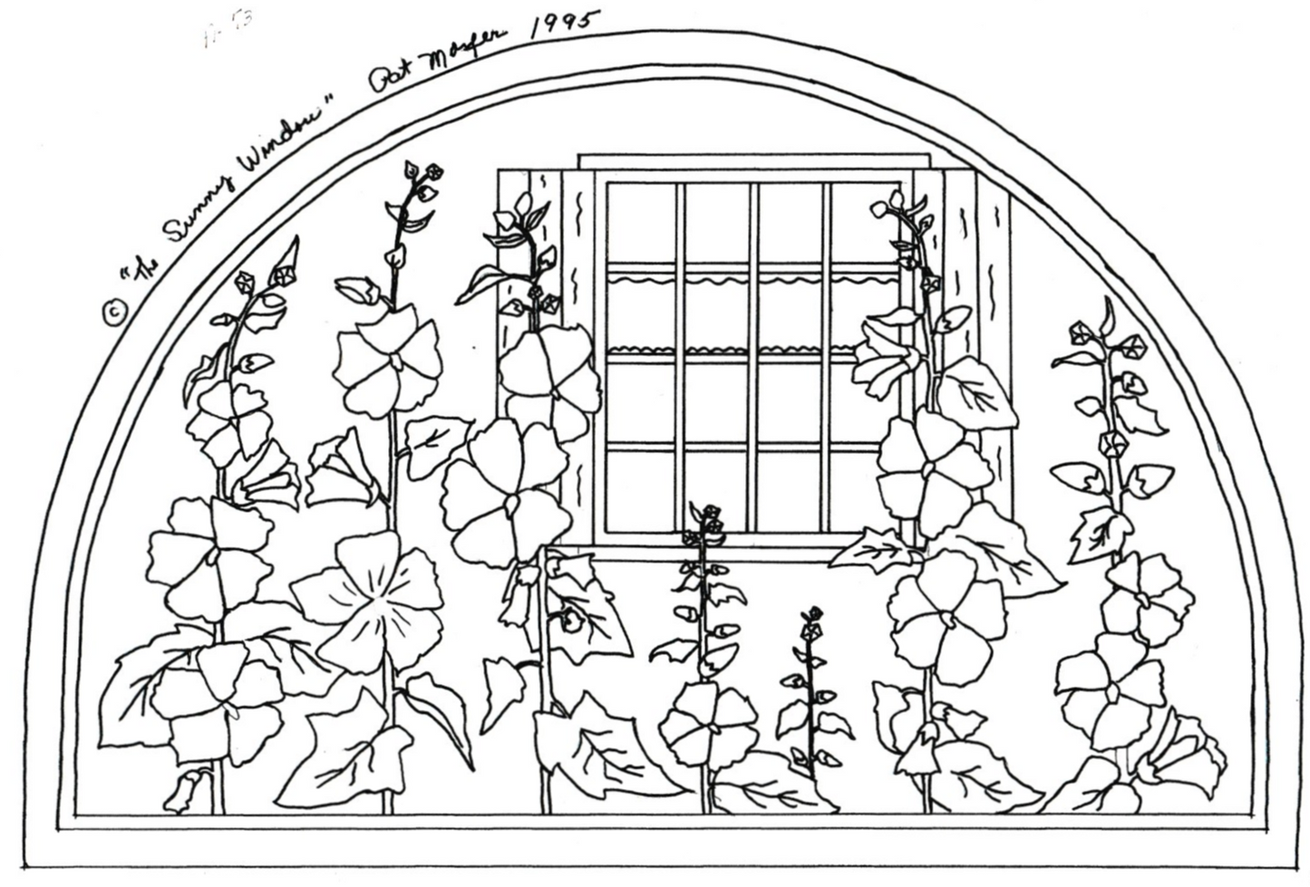 The Sunny Window