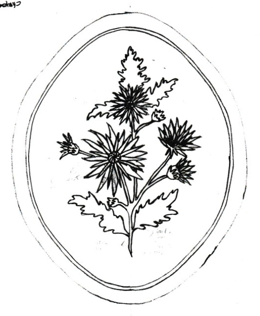 Flowers in Oval