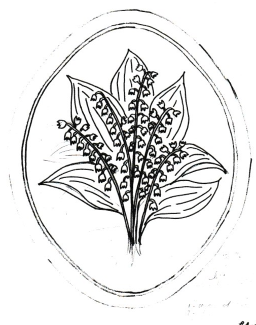 Lily of Valley