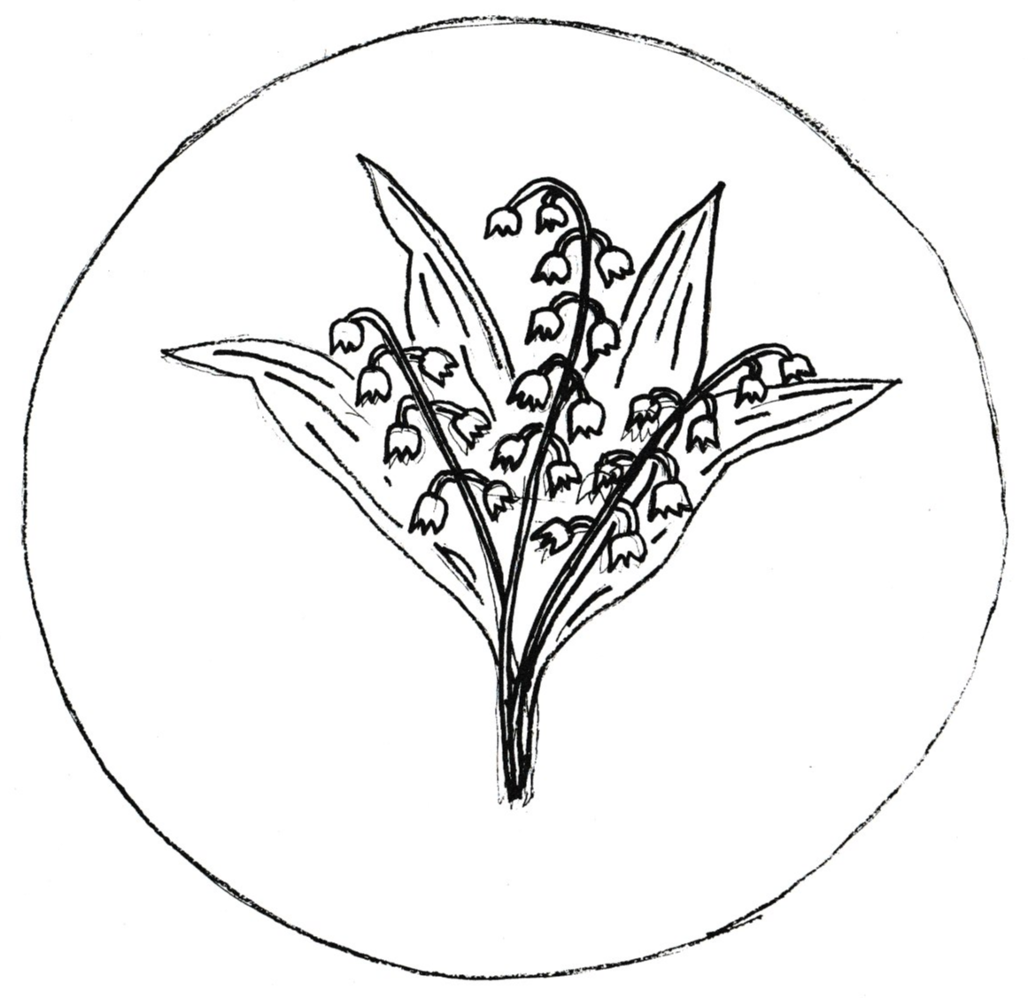 Lilly of the Valley