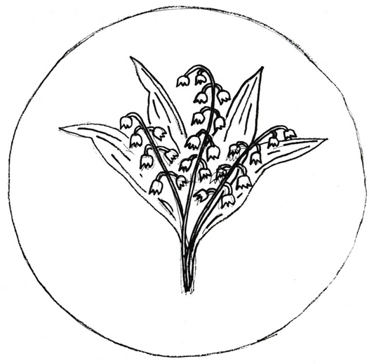 Lilly of the Valley