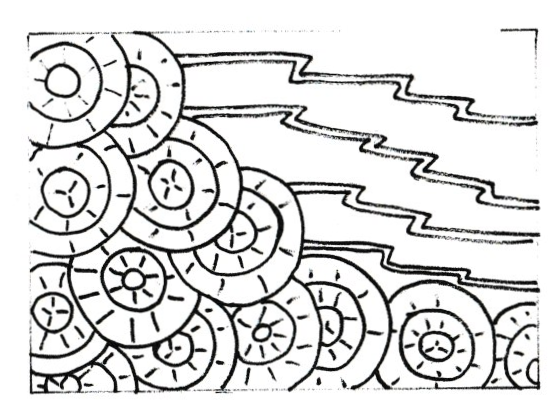 Moon Rythms