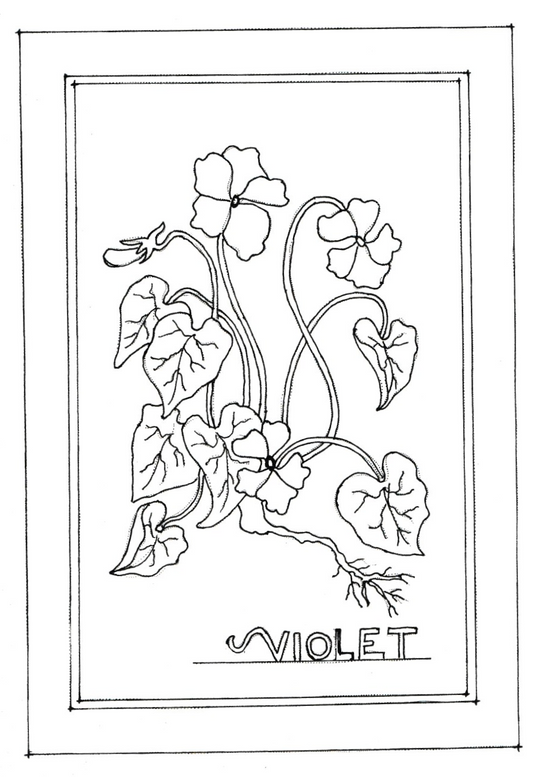 Violet
