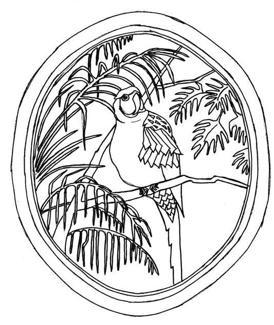 Jungle Parrot