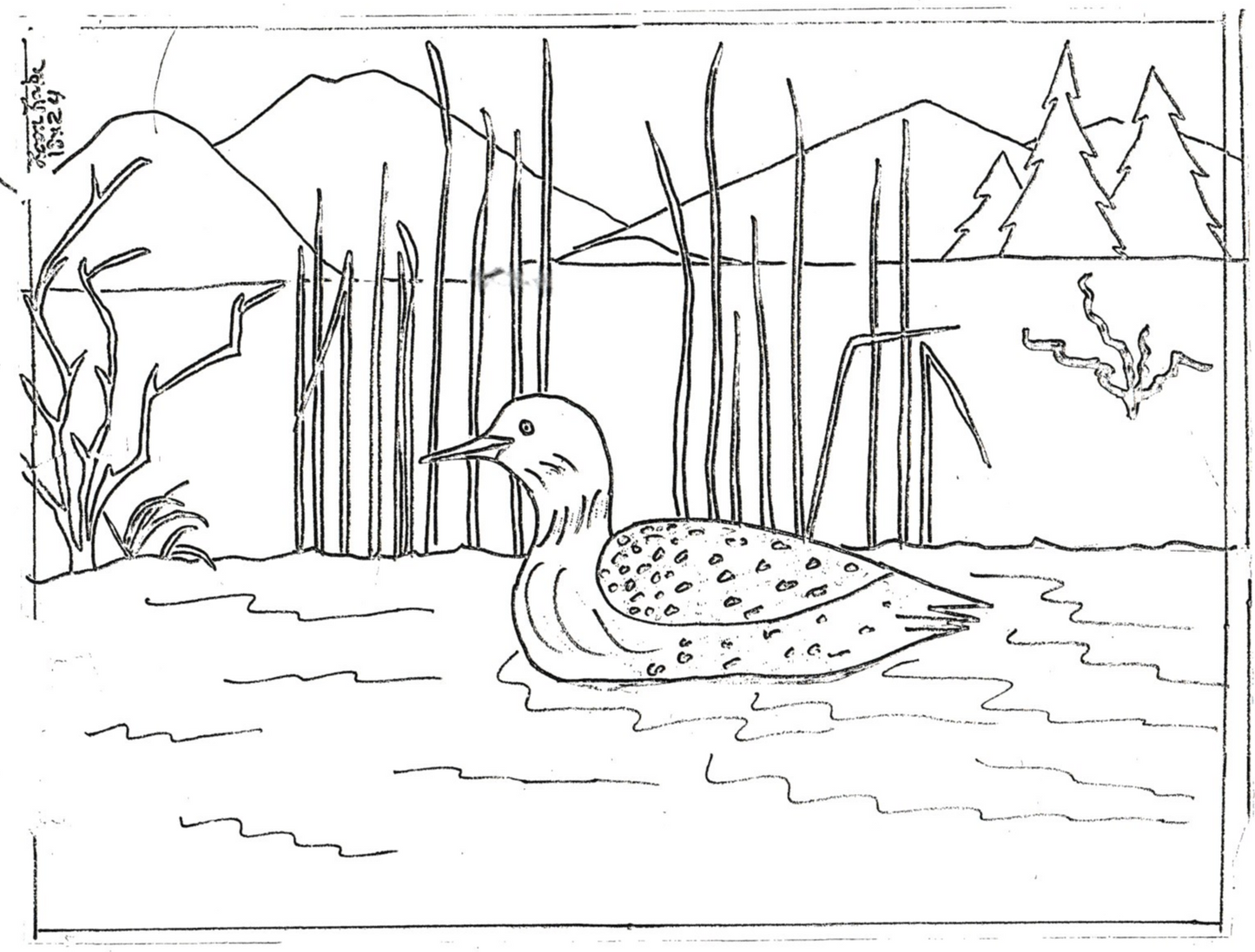 Loon Lake