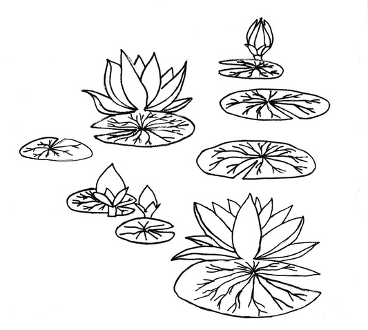 Water Lilies